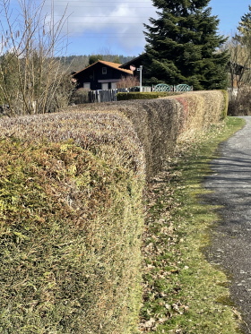 Super Schnitt dank unserer fleißigen Hausmeister im Dorf Super Schnitt dank unserer fleißigen Hausmeister im Dorf