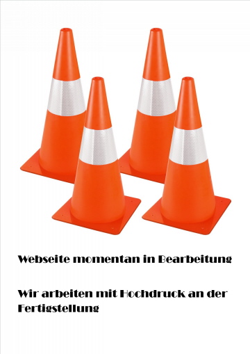 Webseite in Bearbeitung